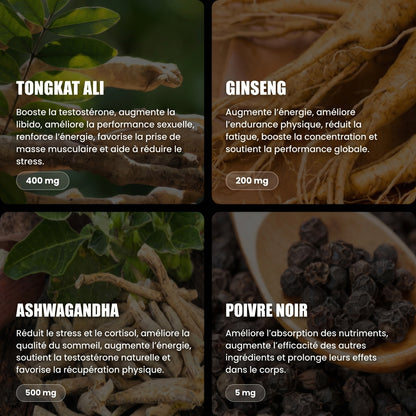 Ashwagandha + Tongkat Ali